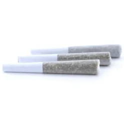 Sugarleaf Pre-Rolls Rolled Sensi Star PR 3 X 0.5 G