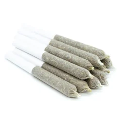 Canja Pre-Rolls Sun County Kush