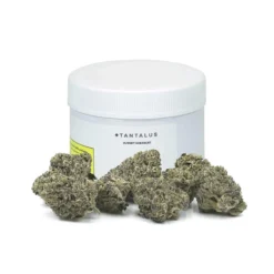 Tantalus Labs New Arrivals Sunset Sherbert
