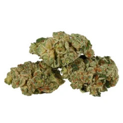 SuperFlower Buns N' Roses