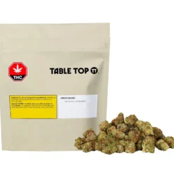 Table Top Grease Monkey