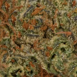 Table Top Grease Monkey