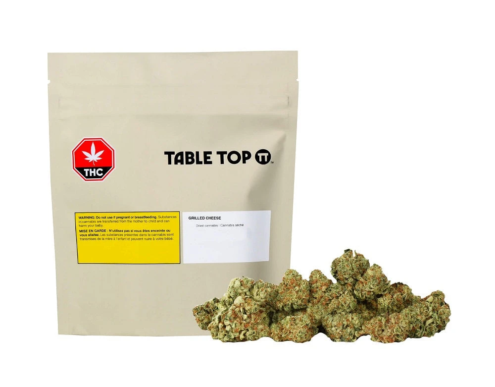 New Arrivals Table Top Grilled Cheese 3 New Arrivals Table Top Grilled Cheese