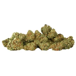 New Arrivals Table Top Grilled Cheese