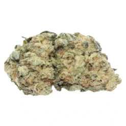 Royal Cannabis Supply Co. Tangerine Dream New Arrivals