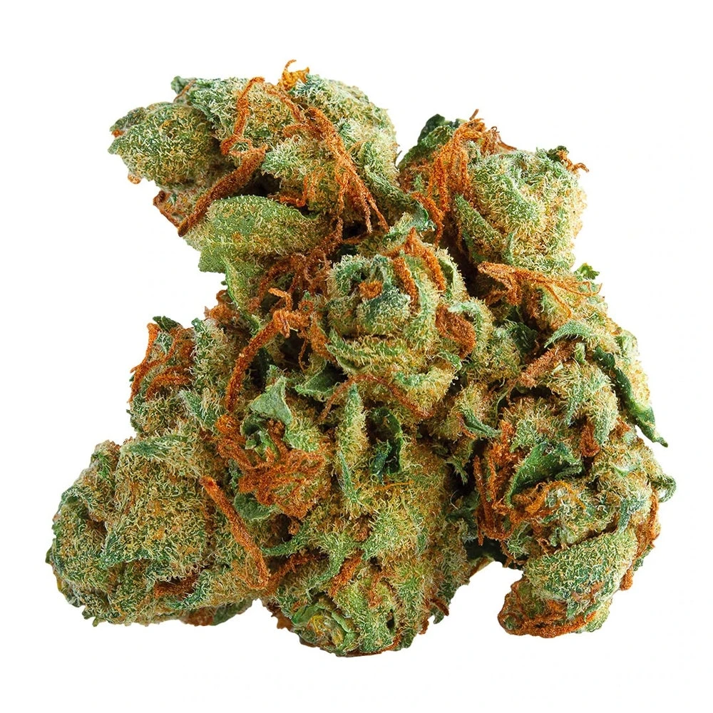 Spinach Tangerine Twist Sativa 4 Spinach Tangerine Twist Sativa