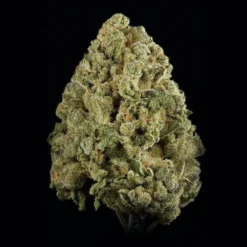 New Arrivals Tantalus Labs LA Kush Cake