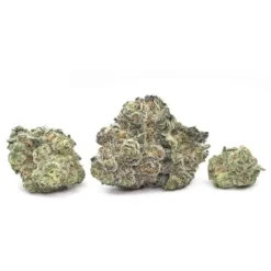 New Arrivals Tantalus Labs Orange Crasher