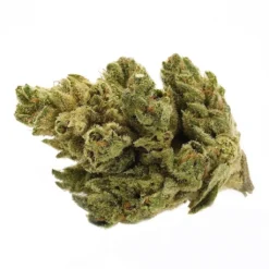New Arrivals Tantalus Labs Pacific OG
