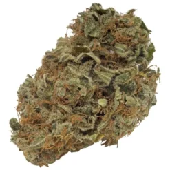 THC Biomed THC Indica