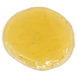 Dad Hash The Barb Coin