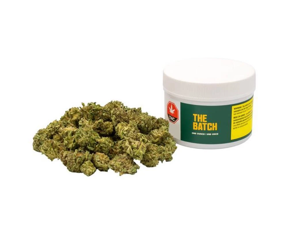 New Arrivals The Batch Hybrid 3 New Arrivals The Batch Hybrid