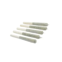 Pre-Rolls The Batch Quints 5 Pack Pre Roll (.5g)