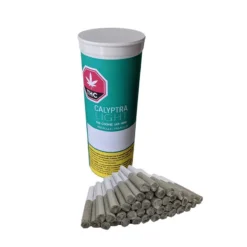 Calyptra Light The Cookie Jar: Mini PR 40 X 0.35 G Pre-Rolls