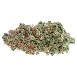 The Green Organic Dutchman Organic GG#4