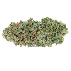 New Arrivals The Green Organic Dutchman Organic Rockstar Tuna