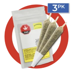 Wagners Pre-Rolls Tiki Rain PR 3 X 0.5 G