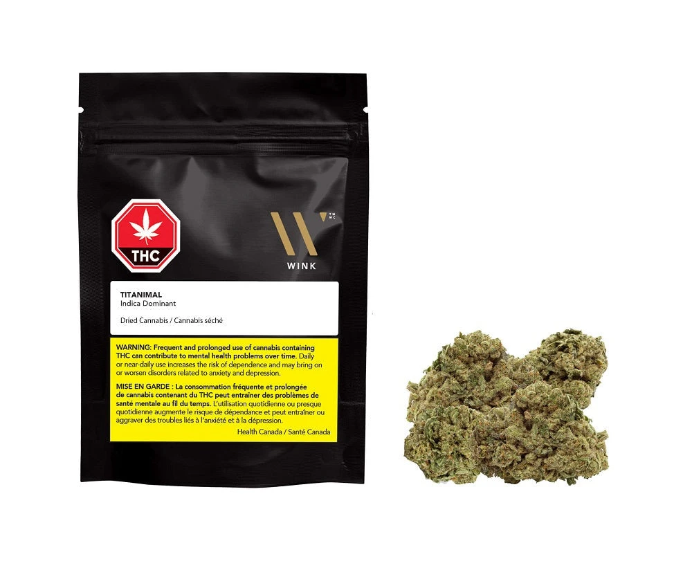 Wink Titanimal New Arrivals 3 Wink Titanimal New Arrivals