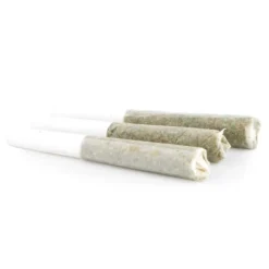 Top Leaf Bubba 3 Pack Pre Roll (.5g) Pre-Rolls 7 Top Leaf Bubba 3 Pack Pre Roll (.5g) Pre-Rolls