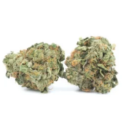 New Arrivals Top Leaf Bubba