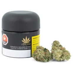 Top Leaf Oregon Golden Goat