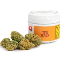 New Arrivals Trailblazer Spark