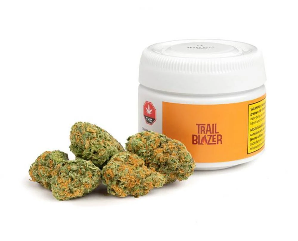 New Arrivals Trailblazer Spark 3 New Arrivals Trailblazer Spark