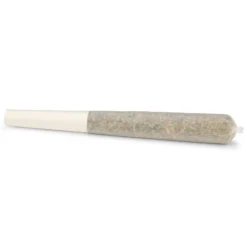 Trailblazer Spark Stix 5 Pack Pre Roll (.5g)
