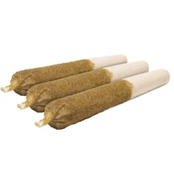 General Admission Tropic GSC Kief Infused Pre-Roll 3 X 0.5 G Pre-Rolls