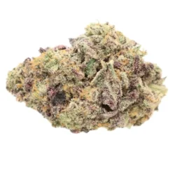 New Arrivals Truro B-Mac