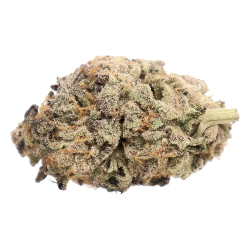 Truro Big Larry 3 Truro Big Larry