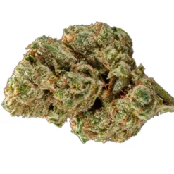 New Arrivals Truro True OG