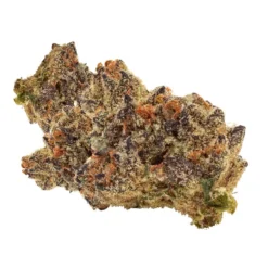 Wink New Arrivals Tunaaaaroom Rntz Muffins