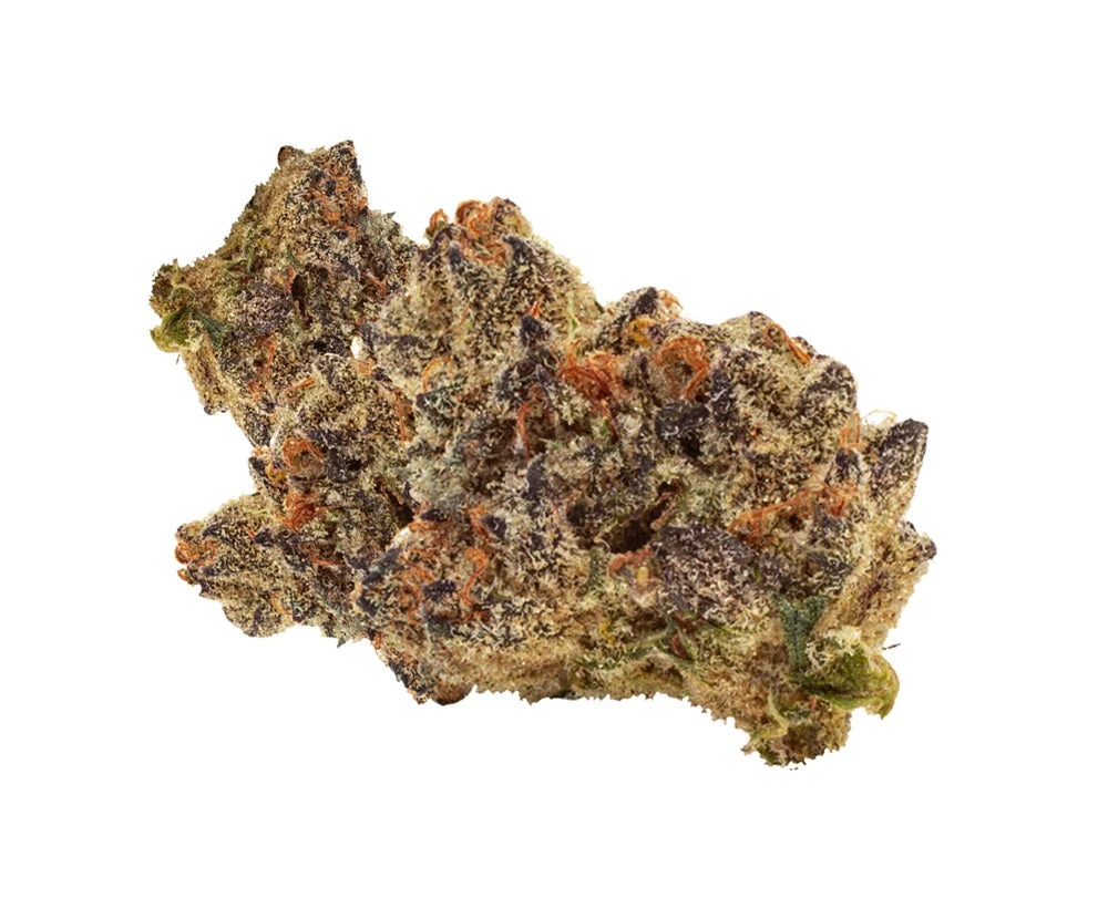 Wink New Arrivals Tunaaaaroom Rntz Muffins 4 Wink New Arrivals Tunaaaaroom Rntz Muffins