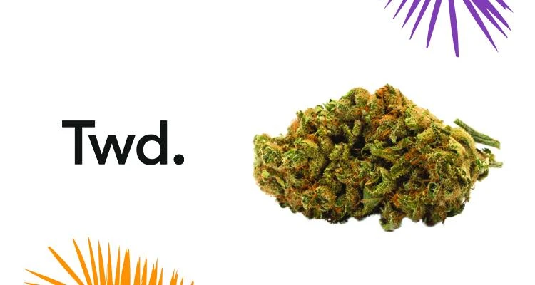 New Arrivals Twd Indica 4 New Arrivals Twd Indica