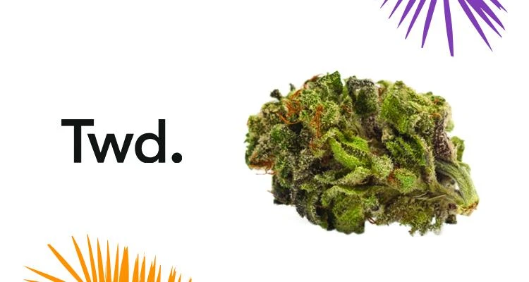 New Arrivals Twd Sativa 4 New Arrivals Twd Sativa