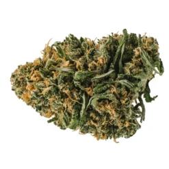 UP Cannabis Ultra Sour UP20 New Arrivals