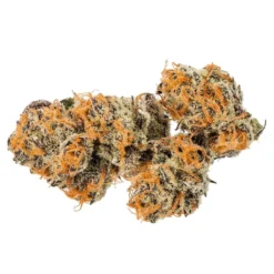 Jonny Chronic Unicorn Poop