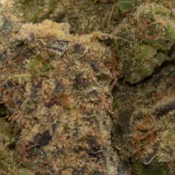 Upryze Cannabis Punch Breath New Arrivals