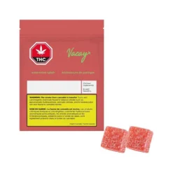 Vacay Watermelon Splash Fruit Chews