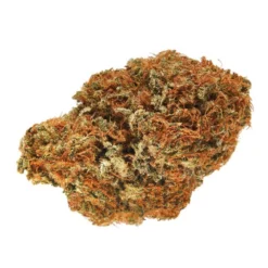 New Arrivals Van Der Pop Cloudburst