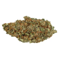 The Loud Plug Venom OG