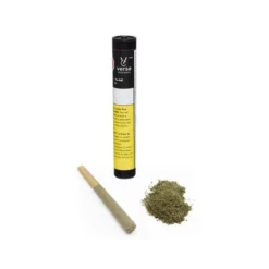 Verse Originals AMP PR 1 X 1 G