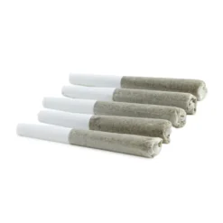 Vertical Cold Creek PR 5 X 0.5 G Pre-Rolls