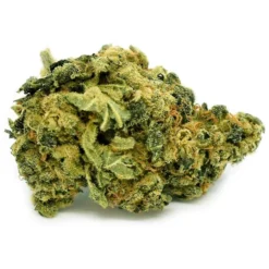 New Arrivals Vertical HiFi 4G