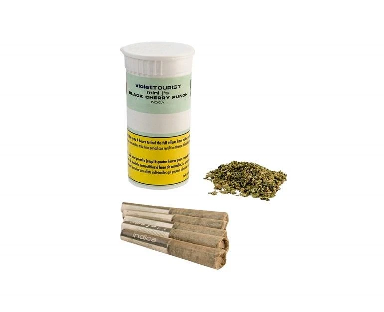 Pre-Rolls Violet Tourist Black Cherry Punch 5 Pack Pre Roll (.35g) 3 Pre-Rolls Violet Tourist Black Cherry Punch 5 Pack Pre Roll (.35g)
