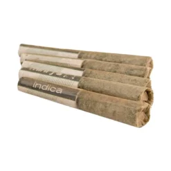 Pre-Rolls Violet Tourist Black Cherry Punch 5 Pack Pre Roll (.35g) 7 Pre-Rolls Violet Tourist Black Cherry Punch 5 Pack Pre Roll (.35g)