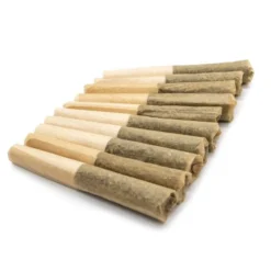 Violet Tourist Pre-Rolls Mini J's Sour OG Cheese PR 10 X 0.35 G