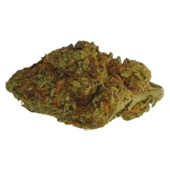 Sweet Vengeance Viper Cookie New Arrivals