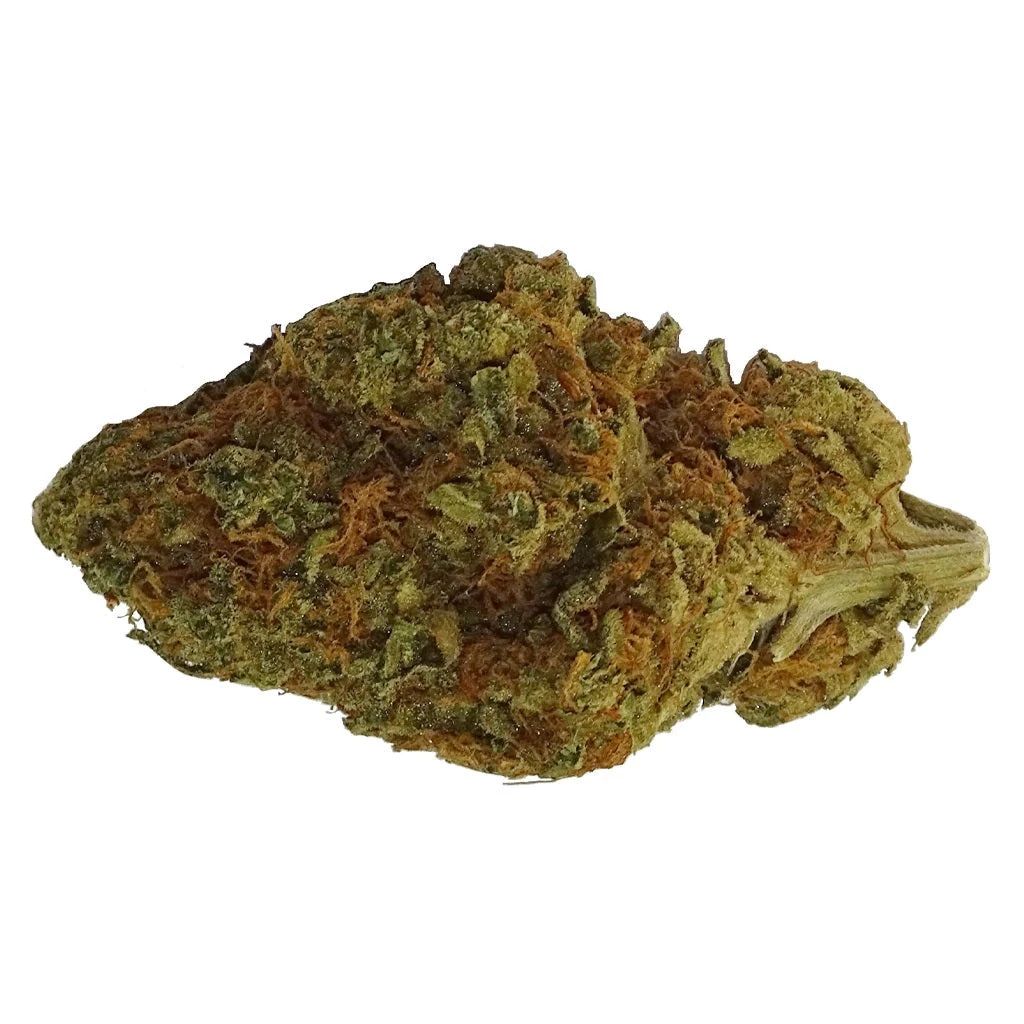 Sweet Vengeance Viper Cookie New Arrivals 3 Sweet Vengeance Viper Cookie New Arrivals